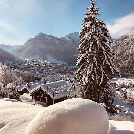 2 Pièces à Châtel, 5 Personnes, Avec Terrasse Exposée Sud - Fr-1-676-150